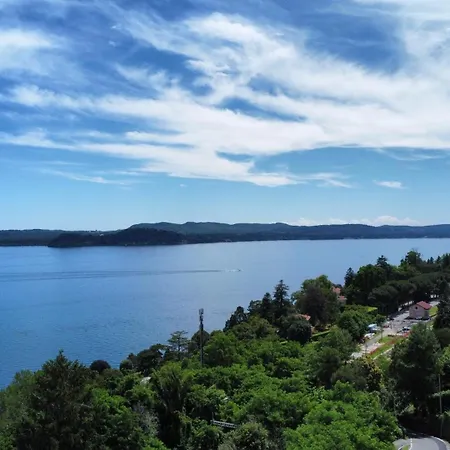 Need Is 贝尔吉拉泰