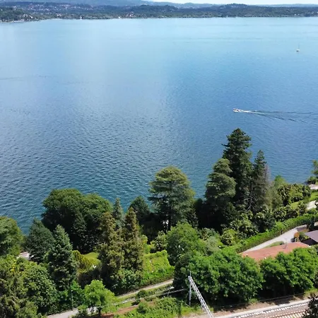 Need Is * 贝尔吉拉泰