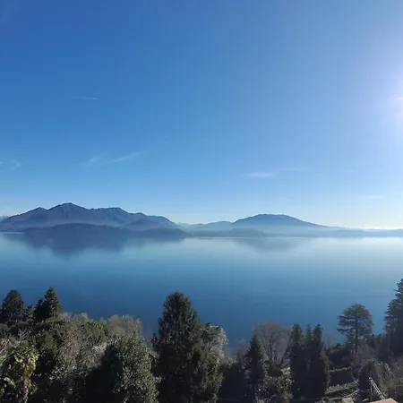 Need Is 公寓 贝尔吉拉泰