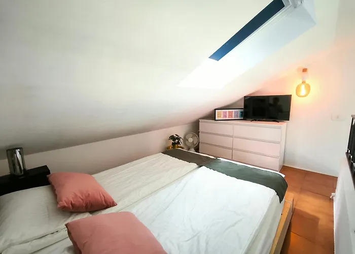 Apartment Need Is
